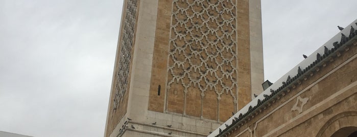 Mosquée Zitouna is one of Grand Tunis.