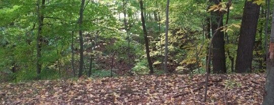 Tryon Park is one of Day Hikes In Rochester, NY.