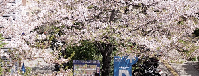 Odaiba is one of Маша.