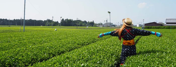 グリンピア牧之原 is one of Tea Tourism.