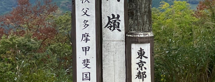 浅間嶺 is one of 山と高原.