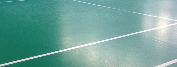 Flexzone Badminton Center is one of Badminton paradise and futsal.