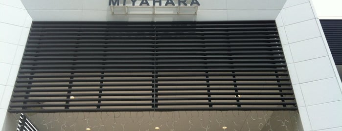Miyahara SA for Kagoshima is one of JPN00/6-V(6).