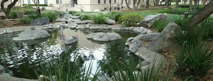 Turtle Pond at Caltech is one of Great places to read.
