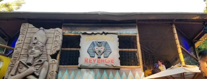 Pharaoh's Revenge is one of Lugares favoritos de Julie.