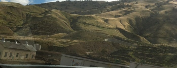 The Grapevine is one of Lieux qui ont plu à Morgan.