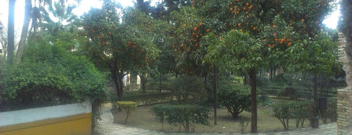 Jardines de Murillo is one of Andalucía: Sevilla.