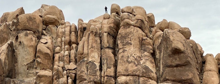 Joshua Tree National Park Camping Ground is one of Joshua Tree and Palm Springs.