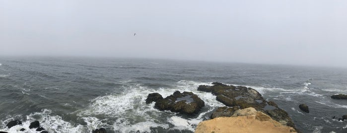 Tomales Point Trail is one of Orte, die Eric gefallen.