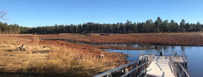 Woodland Lake Park is one of Lugares favoritos de Justin Eats.