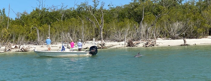 Pelican Landing Beach is one of Florida Gulf Coast.