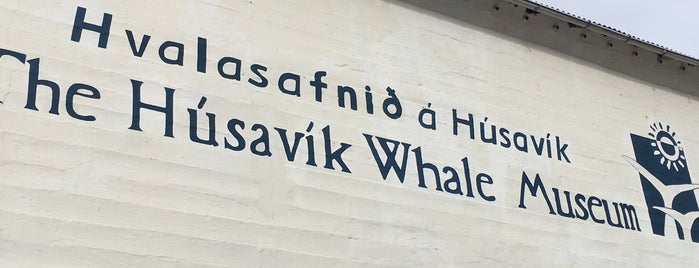 The Húsavík Whale Museum is one of Iceland Trip.