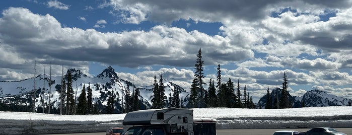 Mount Rainier National Park is one of MURICA Road Trip.