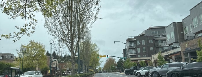 City of University Place is one of Seattle area municipalities.