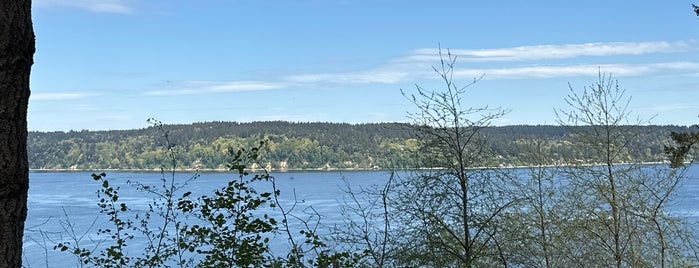 Dalco Passage Viewpoint is one of scenic lookouts.