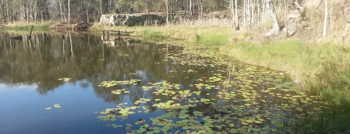 Hemmant Quarry Reserve is one of All-time favorites in Australia.