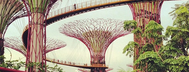 Gardens by the Bay is one of SINGAPORE.