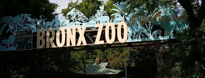 Bronx Zoo is one of New York Favorites - City.