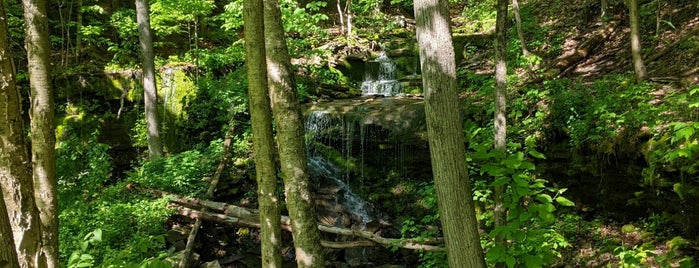 Pine Creek Rail Trail is one of Off Beaten Path PA (Pt. II).