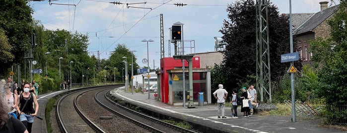 Bahnhof Erbach (Rheingau) is one of Bahnhöfe BM Darmstadt.