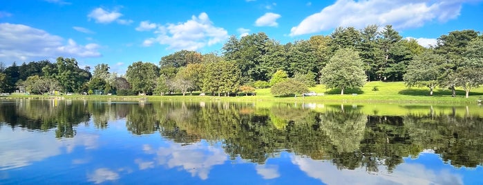 Bruce Park Duck Pond is one of Lieux qui ont plu à Karl.