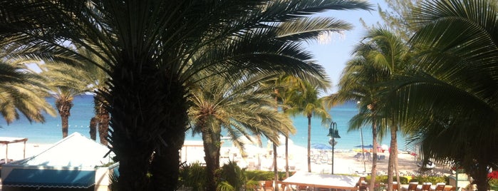 The Westin Grand Cayman Seven Mile Beach Resort & Spa is one of Cayman Islands.
