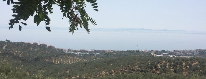 Serinyer Restaurant is one of Çanakkale.