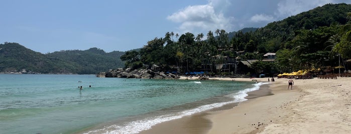 หาดท้องนายปานน้อย is one of สุราษฎร์ธานี.