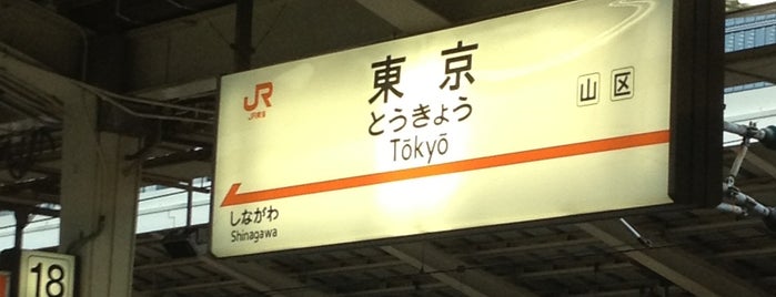 Shinkansen Platforms is one of 04_新幹線で、東京へ.