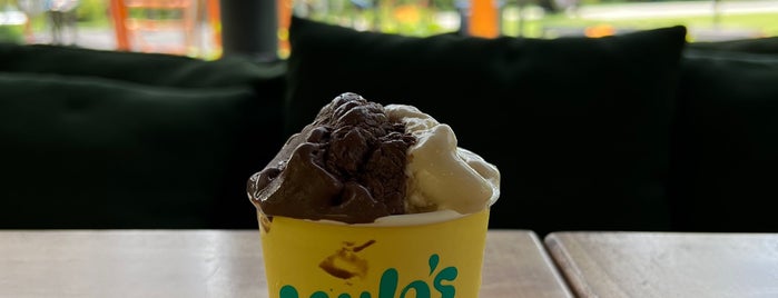 Mylo’s is one of Ice-Cream!.
