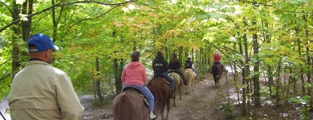 H & H Stables is one of Family Fun Places to Visit.