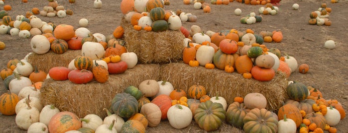 Shawhaven Haunted Farm is one of Fabulous Fall Corn Mazes & Pumpkin Patches.