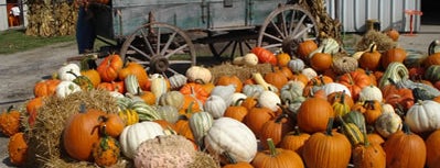 Bosserd's Farm is one of Fabulous Fall Corn Mazes & Pumpkin Patches.
