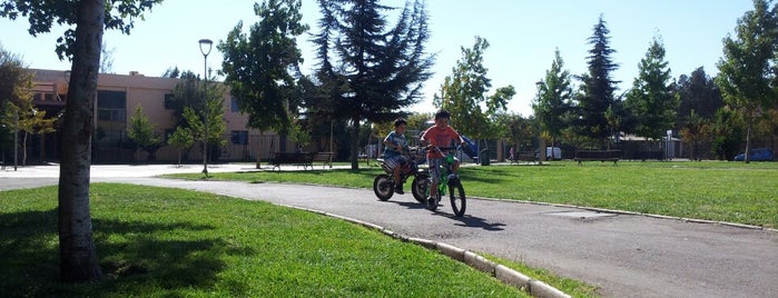 Parque Santa Amalia is one of La Florida 2.