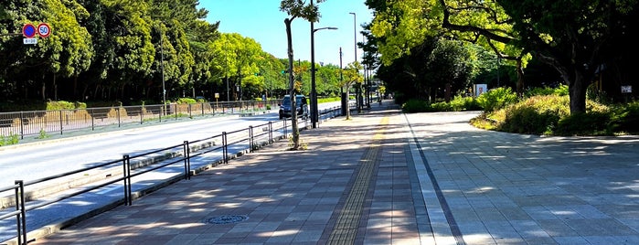 大井ふ頭中央海浜公園 is one of わんこ.