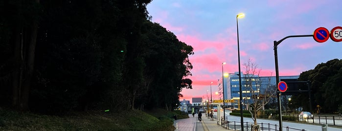 Oi Futo Chuo Kaihin Park is one of Tempat yang Disimpan Greg.