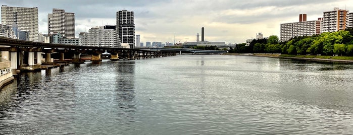 かもめ橋 is one of 東京橋.