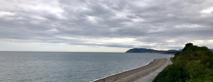 Killiney Beach is one of Wさんのお気に入りスポット.