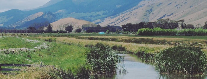Little River Rail Trail is one of My NZ Tour 2013.