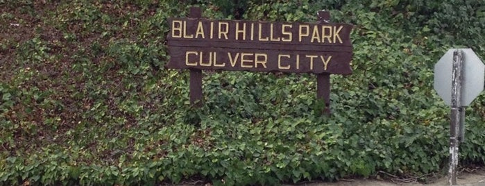 Blair Hills Park is one of parks & recreation.