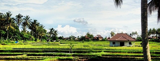 Ubud is one of Bali hotspots - amazing Indonesia.