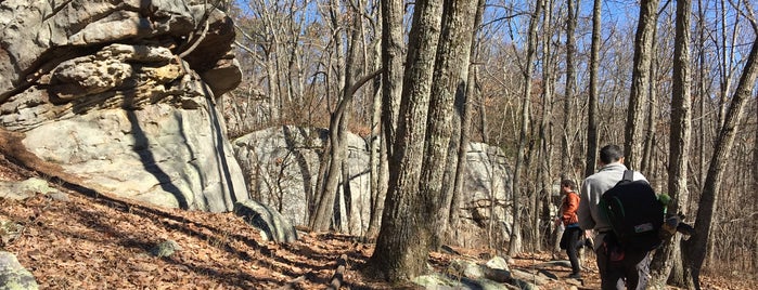 Stone Fort Bouldering (LRC) is one of Desmond : понравившиеся места.