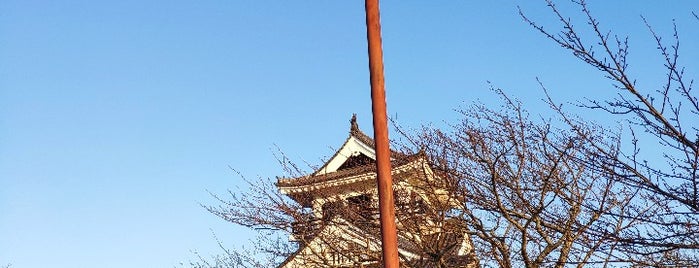 館山城跡 is one of daqlaさんのお気に入りスポット.