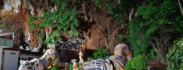 Wat Thum Sua is one of Krabi.