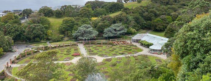 Wellington Botanic Garden Play Area is one of Kids things to do in Wellington NZ.