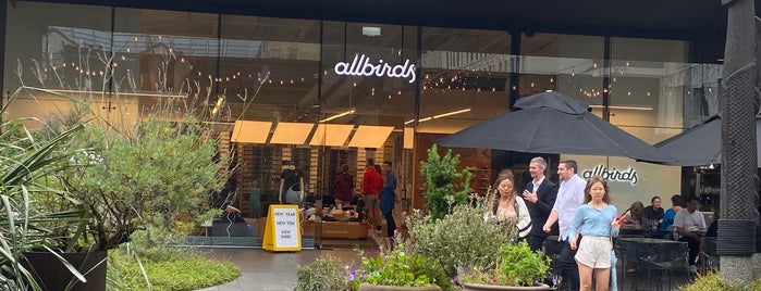 Allbirds is one of Auckland List.