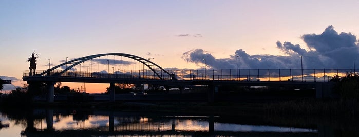 Aquatic Park is one of Best Running and Hiking Trails.