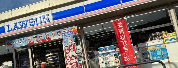 ローソン 阿南新野店 is one of LAWSON in Tokushima.