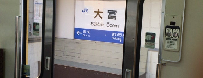 Ōdomi Station is one of たいわん - にっぽん てつどう.