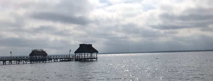 Laguna de Atasta is one of Orte, die Marianita gefallen.